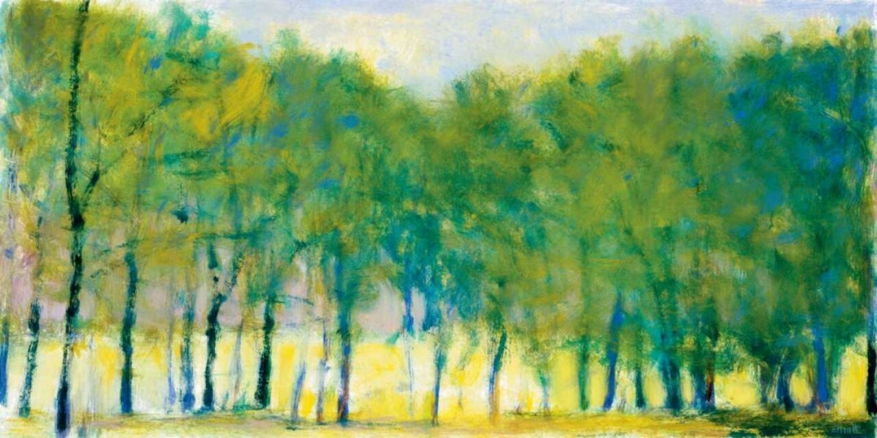 Soft Green Grove Poster Print by Ken Elliott - Item # VARPDXKE101T